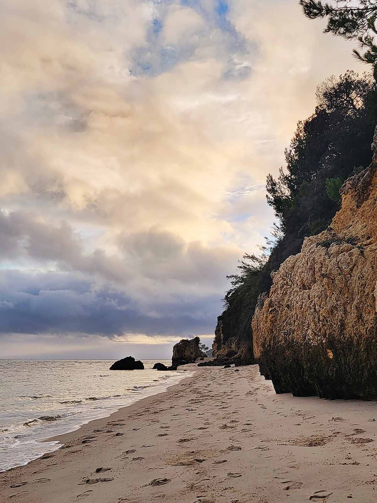 A beach with tall rocks and trees. 