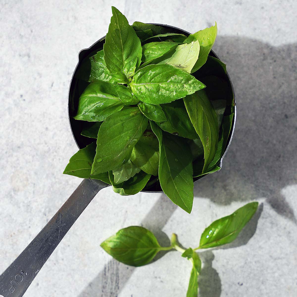 A measuring cup packed with fresh basil leaves.